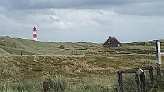 Sylt (178)
